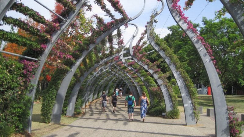10 Interesting Facts About Brisbane City Botanic Gardens Beautiful Brisbane City Botanic Gardens Queensland Australia Source Paulcs WordPress