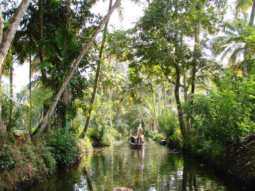 Backwater Tour Kerala Backwater Tour Kerala