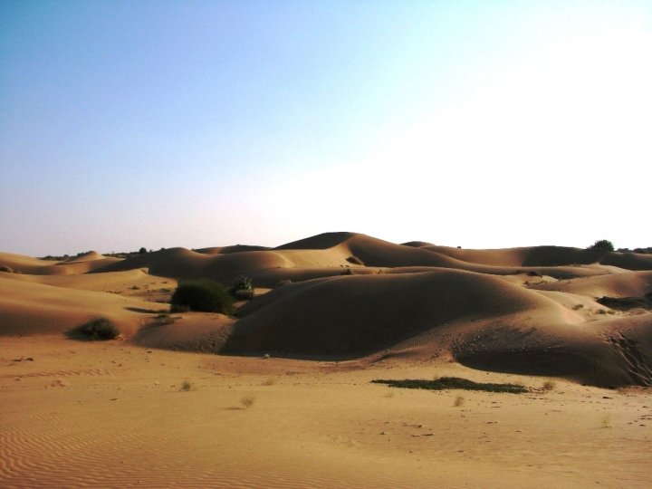 Jaisalmer camel safari - rolling dune seas of the Thar Desert