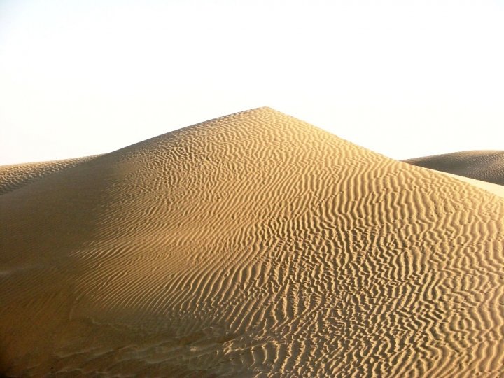 Jaisalmer camel safari - ripples on a sand dune