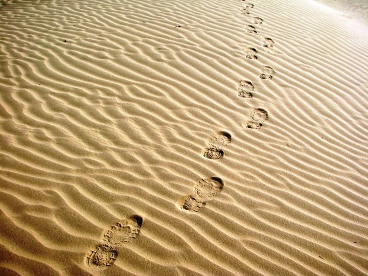 Jaisalmer camel safari - footprints in the sand